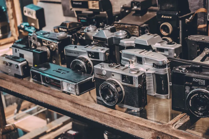 Priced Out of the Canon: How Boutique Distributors Are Turning Cult Cinema Into a Collector's Market