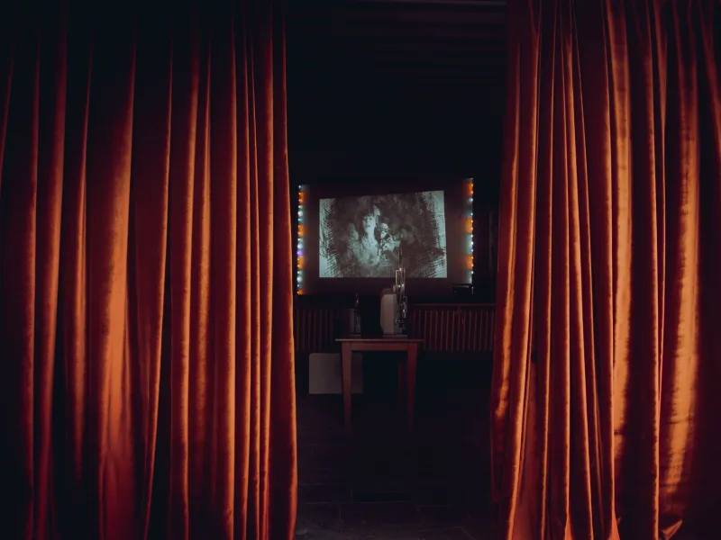 The Last Reel Standing: How Regional Film Societies Became Cult Cinema's Final Refuge
